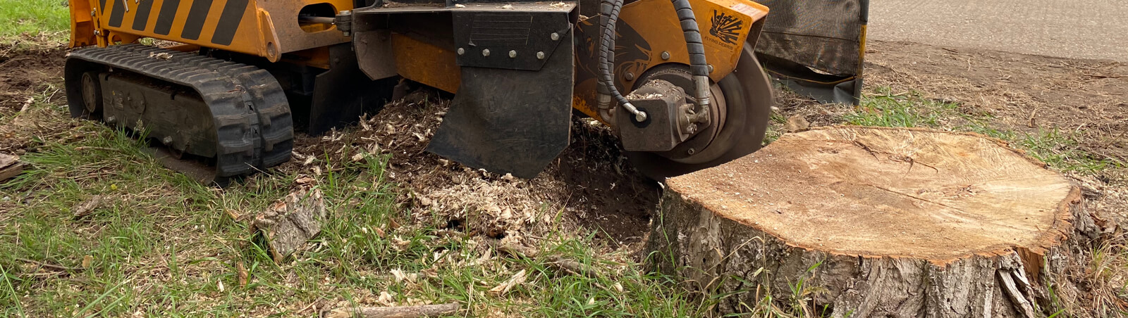 Stump grinding near me
