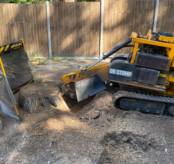 Stump grinding using grinder