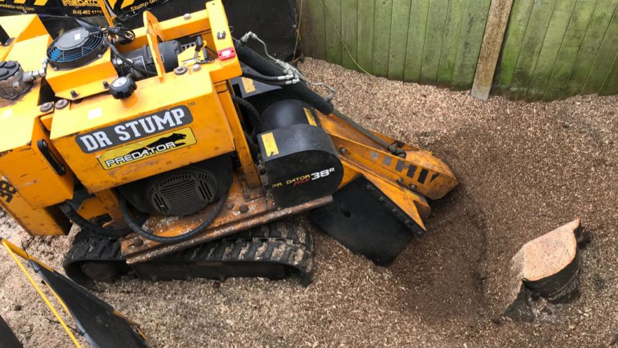 machine grinding tree stump