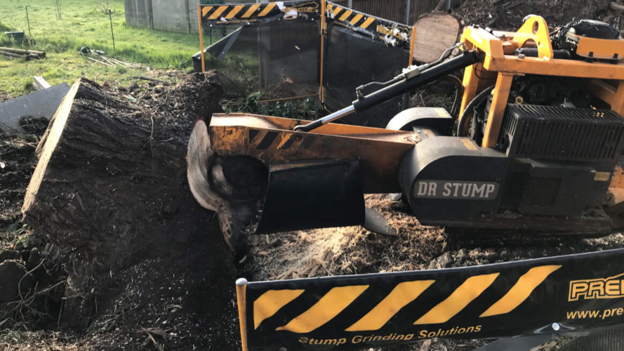stump removal in Norwich