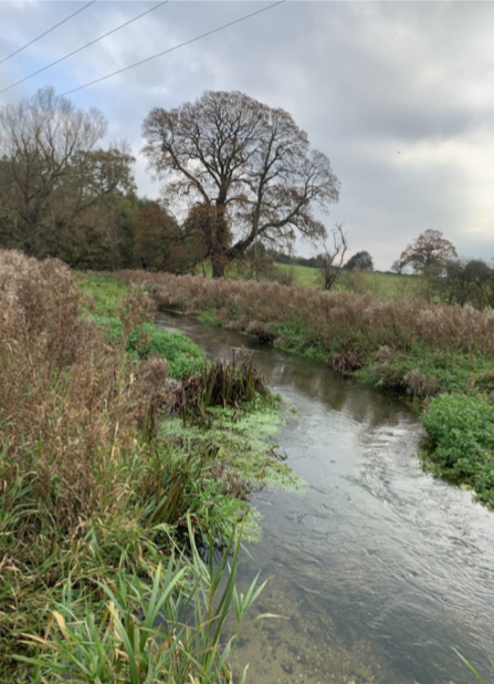 norfolk countryside