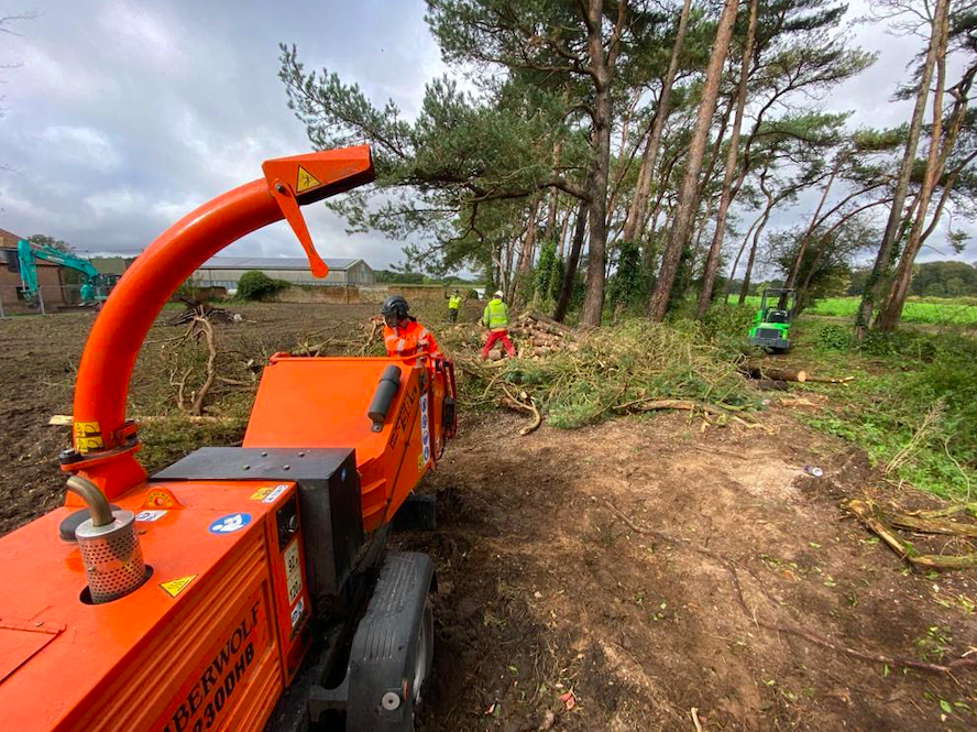 tree service norfolk