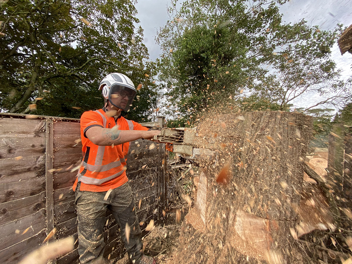 dr stump using wood chipper