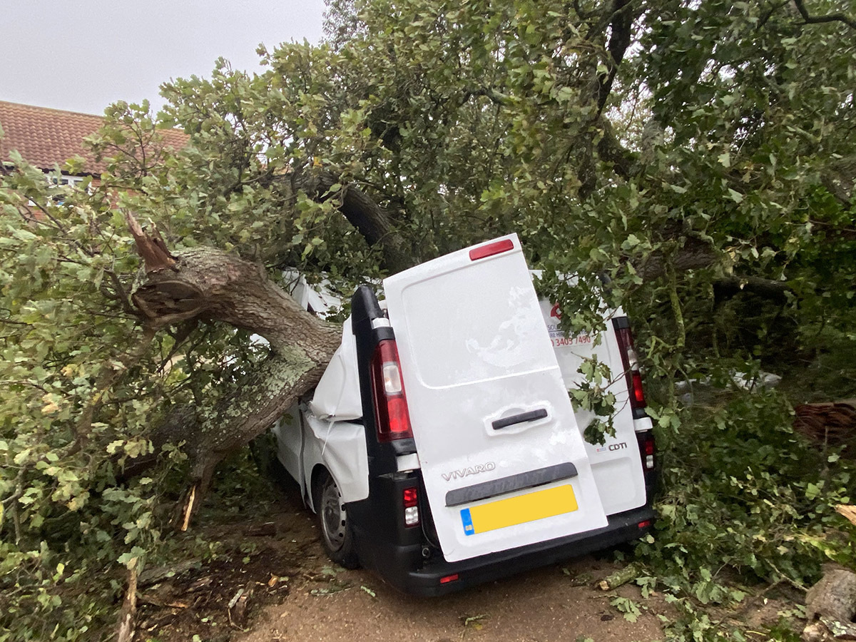 van crushed under tree after storm