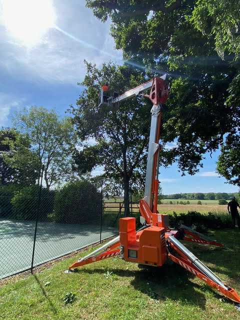 Using-machinery-to-remove-trees