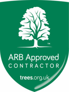 Arborist approved