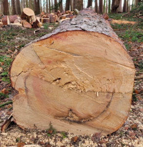 This image has an empty alt attribute; its file name is image-1.png