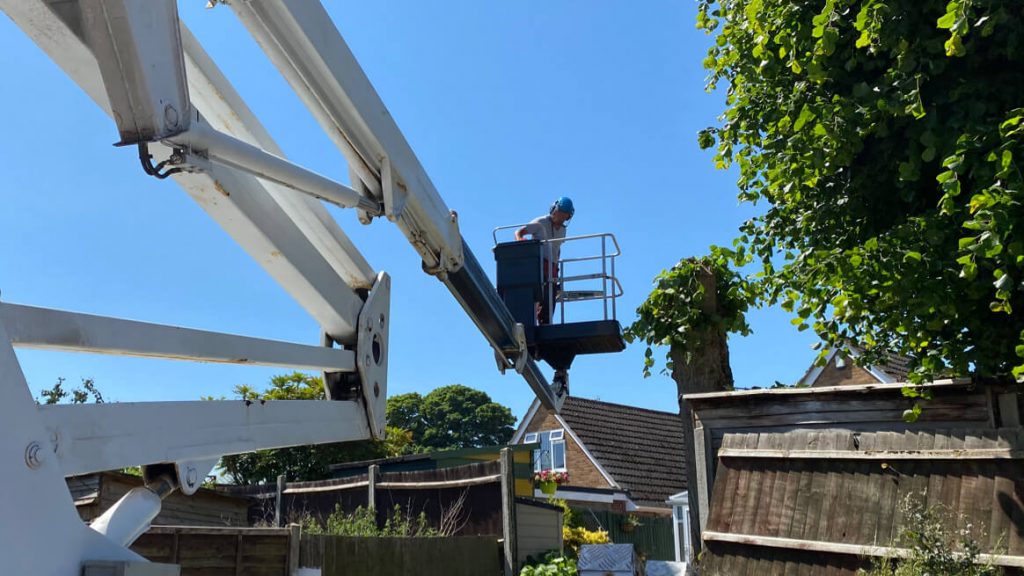 tree surgeon in cherry picker